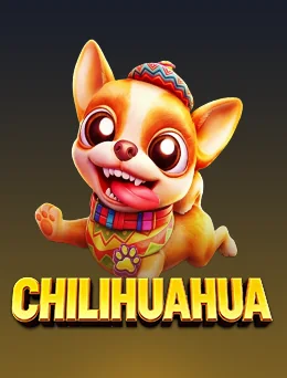 CHILIHUAHUA 3172
