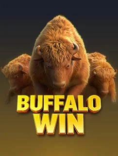 Buffalo Win 1813