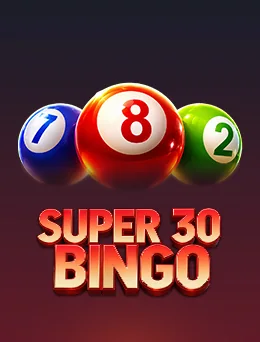 Super 30 BINGO 3128